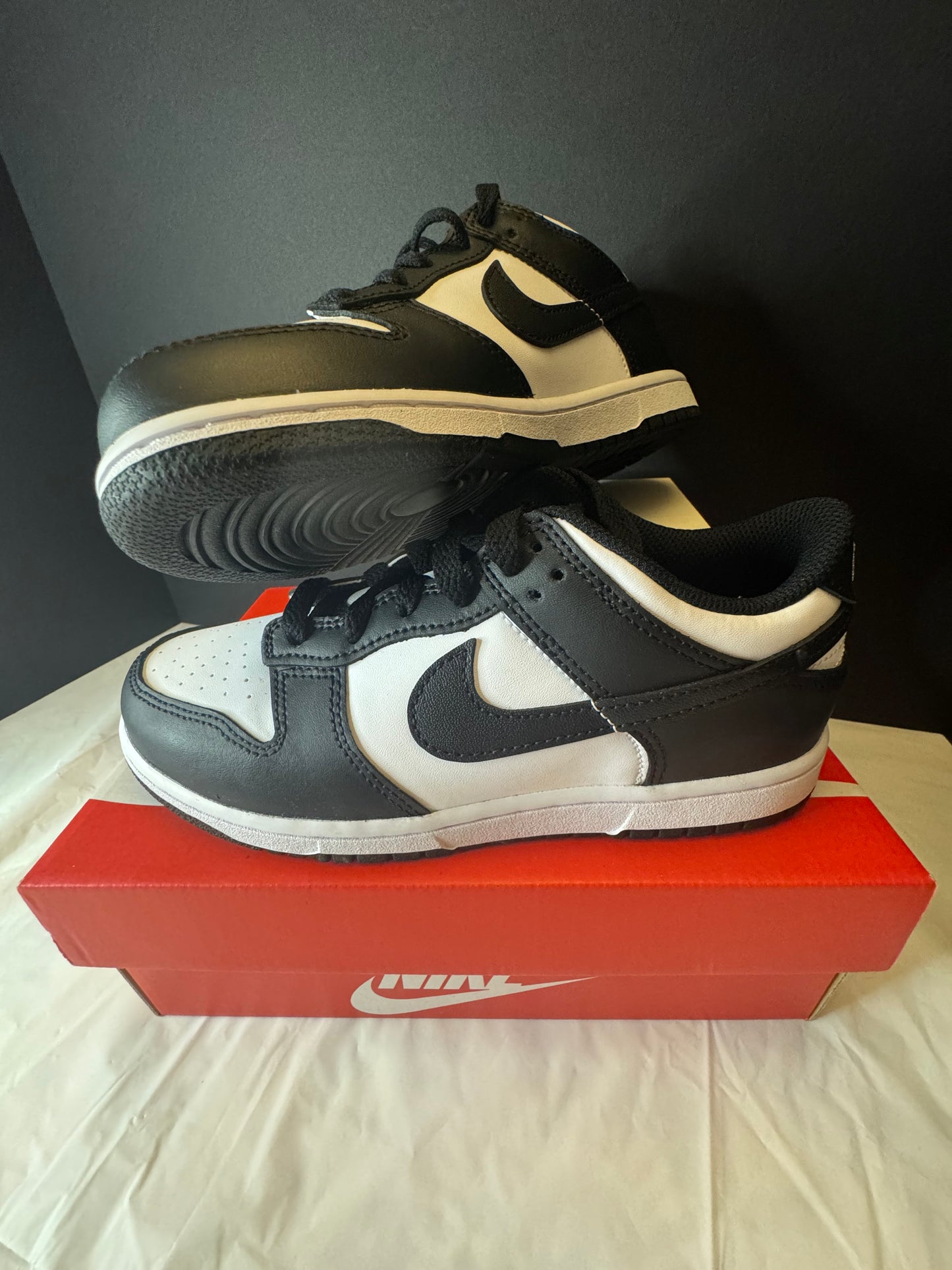 Nike Dunk Low Panda
