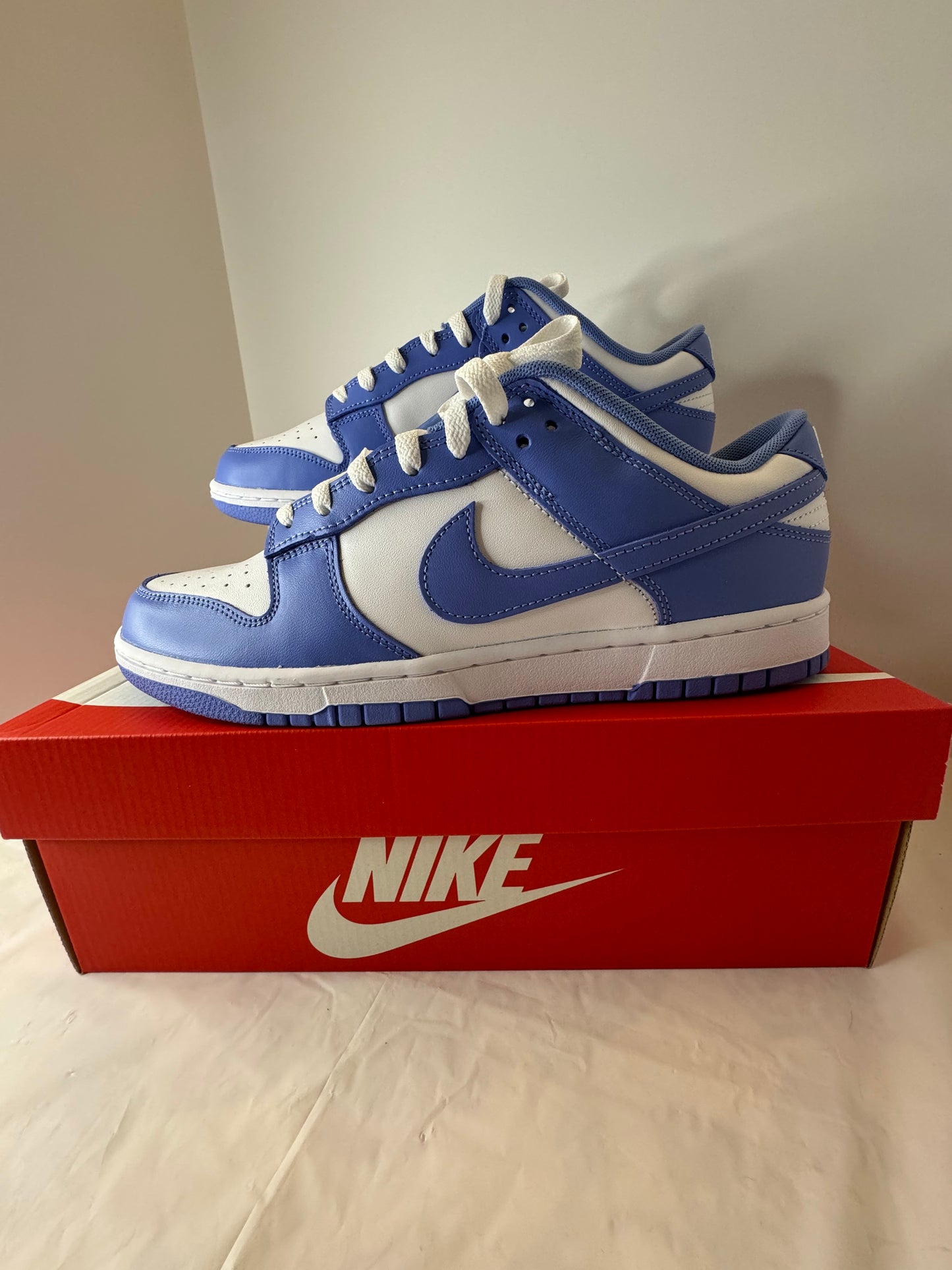 Nike Dunk Low Polar Blue