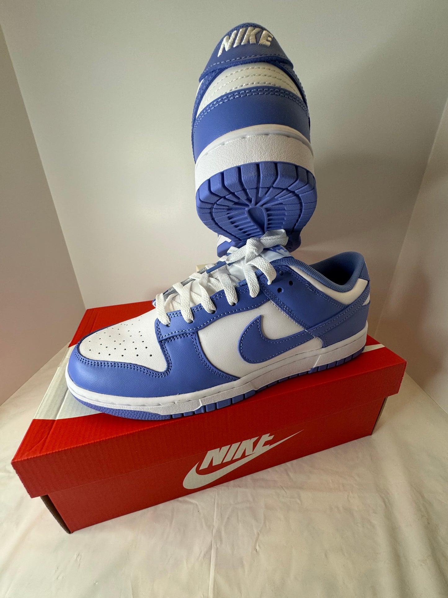 Nike Dunk Low Polar Blue