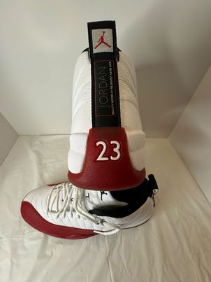 Air Jordan 12 Cherry